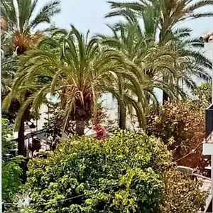 Beach Old Town Estepona